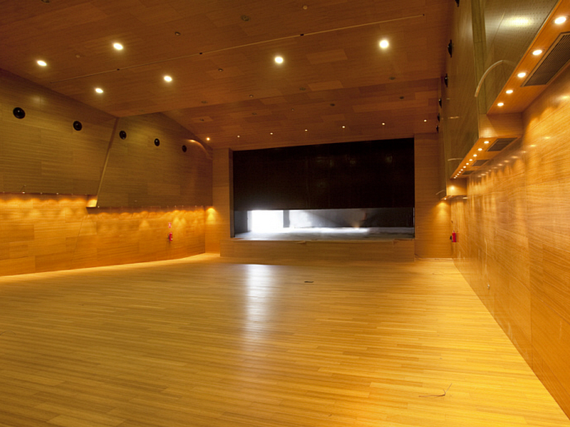 auditorio17