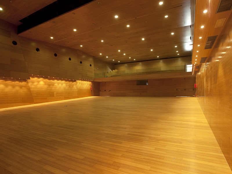 auditorio18