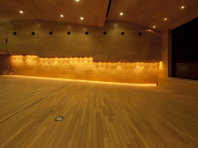 auditorio19